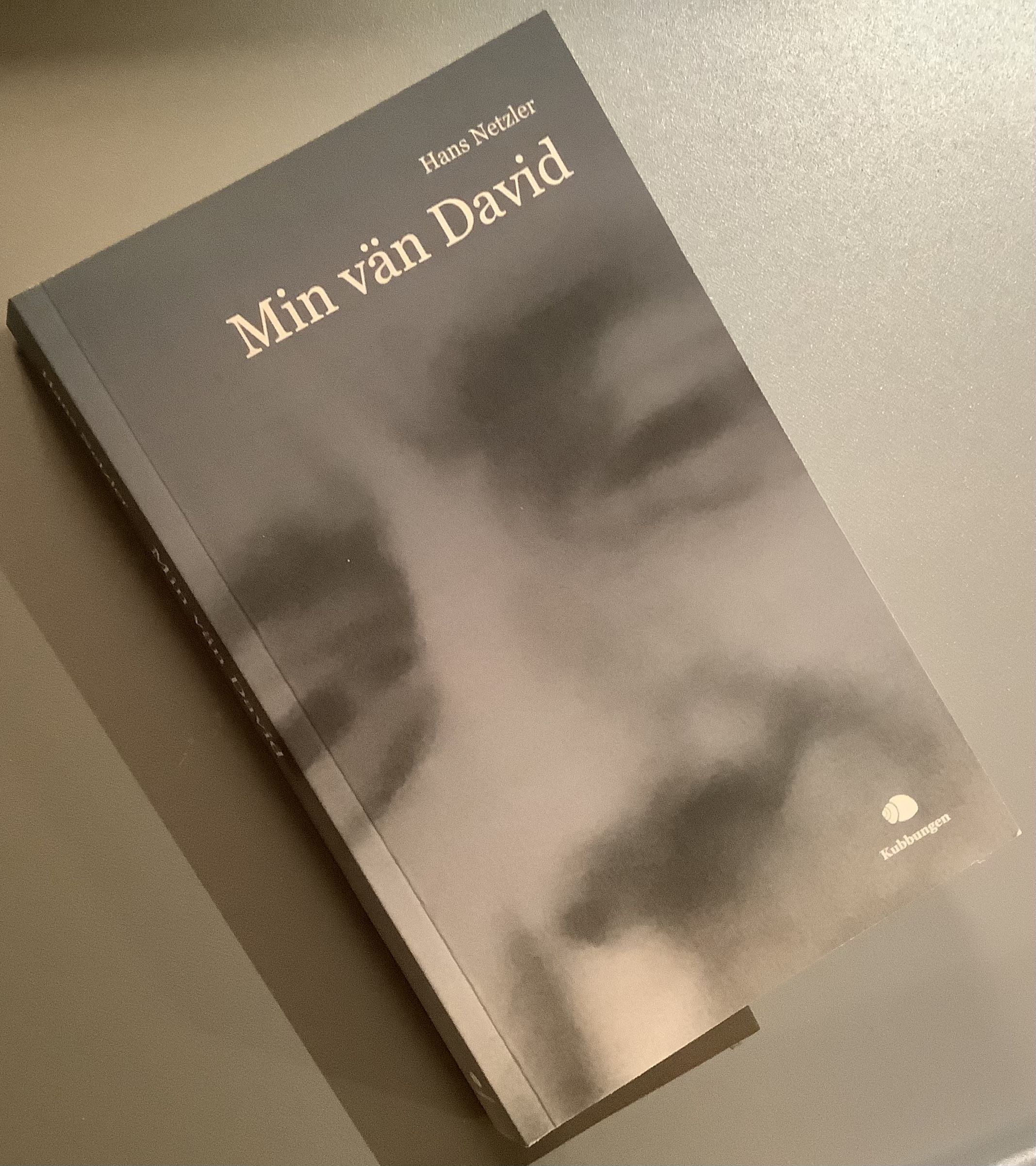 Romanen